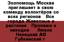 Зоопомощь.Москва приглашает в свою команду волонтёров со всех регионов - Все города Животные и растения » Пропажи и находки   . Ямало-Ненецкий АО,Губкинский г.